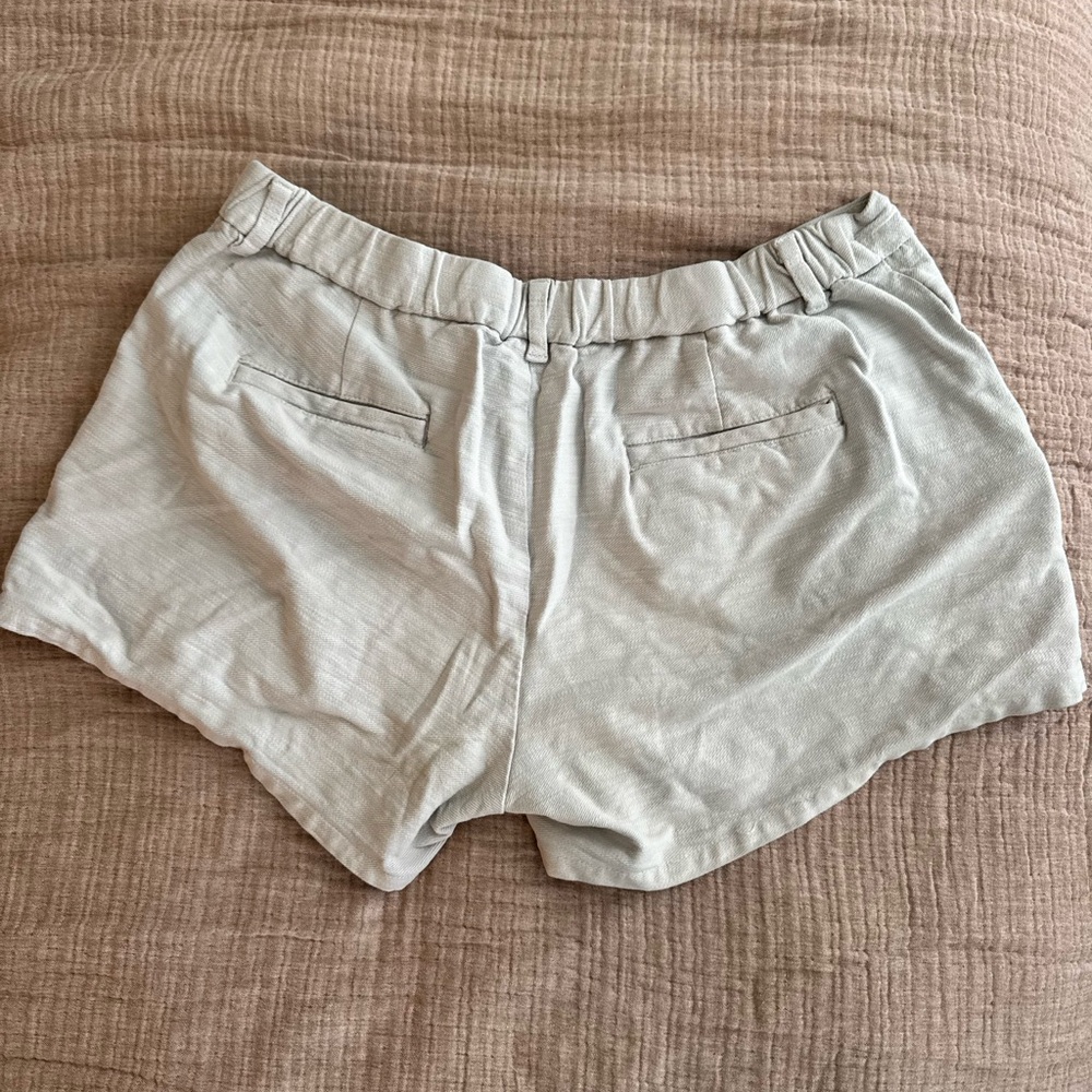 Chubbies Shorts
